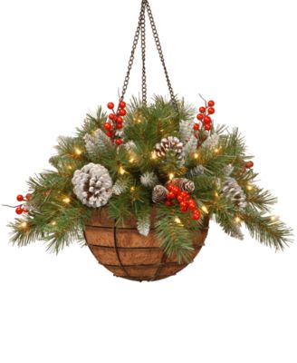 National Tree Company - 20" Frosted Berry Hanging Basket With Cones, Berries & 50 LED Battery-Operated Lights With Timer