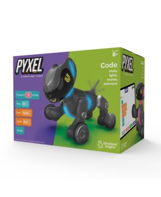 Educational Insights